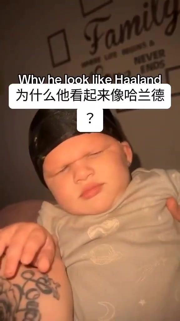 我就說哈蘭德肯定捐過這金發(fā)碧眼還沒有眉毛簡直一模一樣