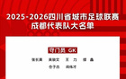 川超成都隊(duì)名單揭曉：網(wǎng)紅向男在列，多將有職業(yè)背景
