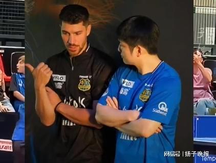樊振東德甲首秀，一票難求，倒計時開啟。