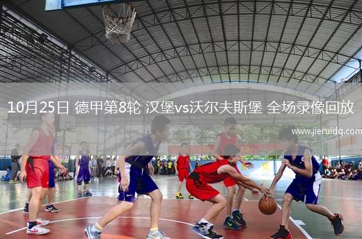10月25日 德甲第8輪 漢堡vs沃爾夫斯堡 全場(chǎng)錄像回放