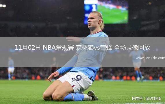 11月02日 NBA常規(guī)賽 森林狼vs黃蜂 全場(chǎng)錄像回放