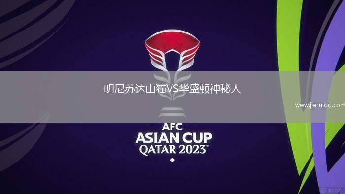 明尼蘇達(dá)山貓VS華盛頓神秘人