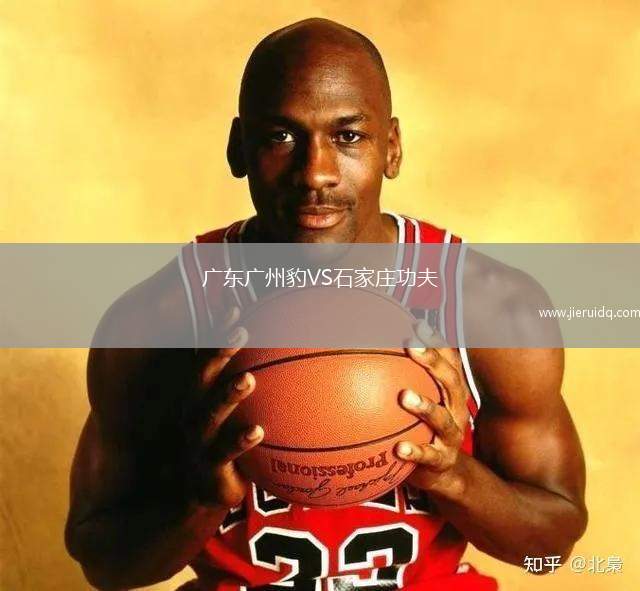 廣東廣州豹VS石家莊功夫
