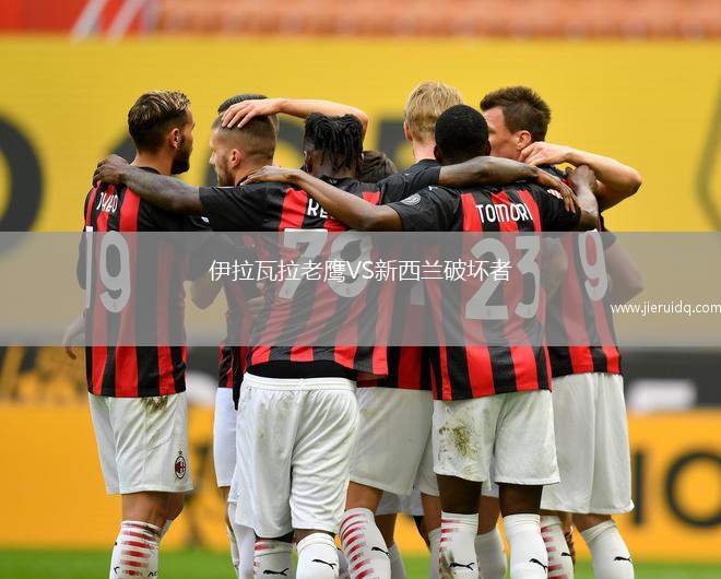 伊拉瓦拉老鷹VS新西蘭破壞者