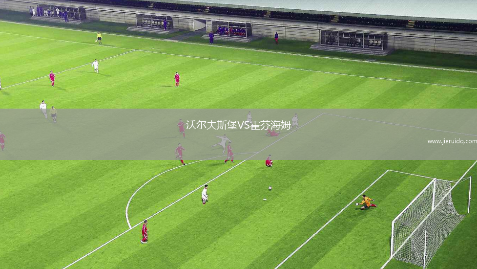 沃爾夫斯堡VS霍芬海姆