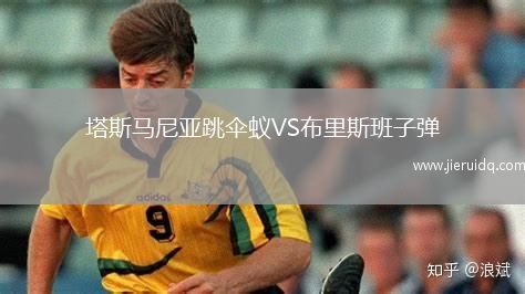 塔斯馬尼亞跳傘蟻VS布里斯班子彈